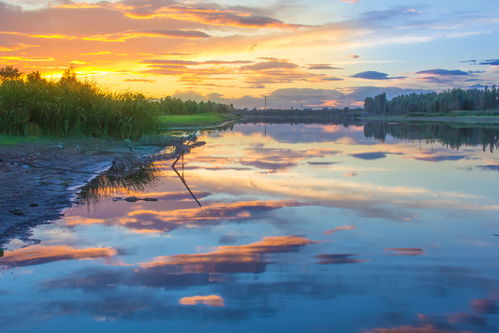 光影定格，見證榮耀——伊比沙杯廊坊首屆攝影大展獲獎公示暨專業攝像服務回顧