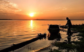 光影瞬間，生活之美 手機攝影作品精選賞析